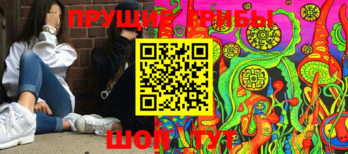 Псилоцибиновые грибы мицелий  Вход с VPN  Галлюциногенные грибы мухоморы  Тосно 